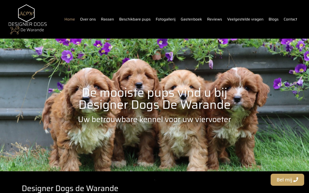 Designer Dogs De Warande